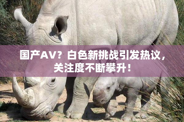 国产AV？白色新挑战引发热议，关注度不断攀升！