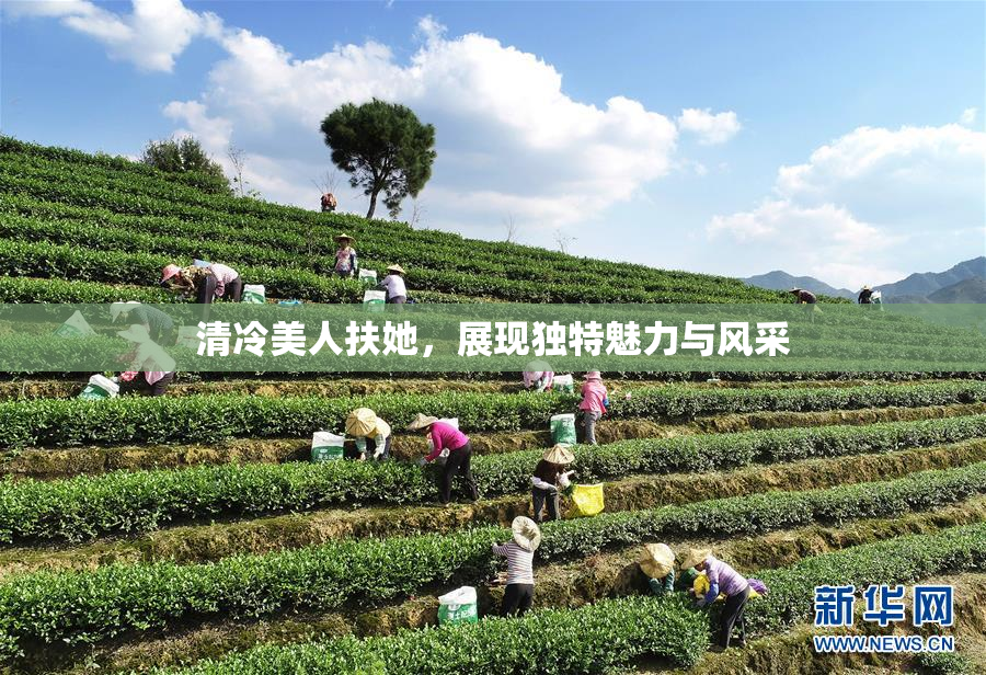 清冷美人扶她，展现独特魅力与风采