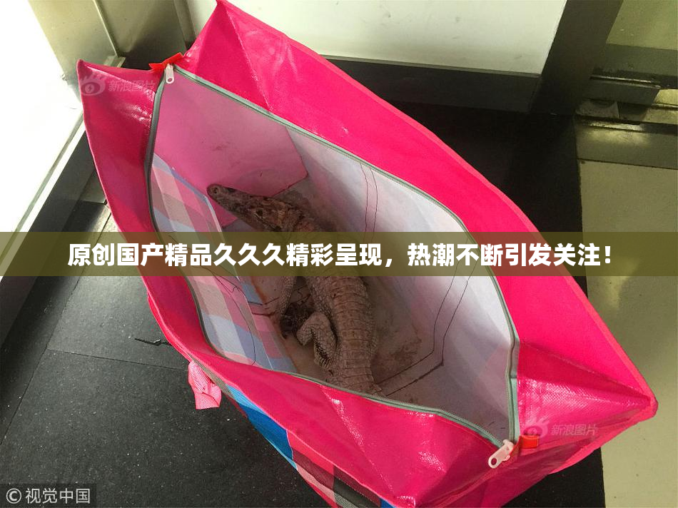 原创国产精品久久久精彩呈现，热潮不断引发关注！
