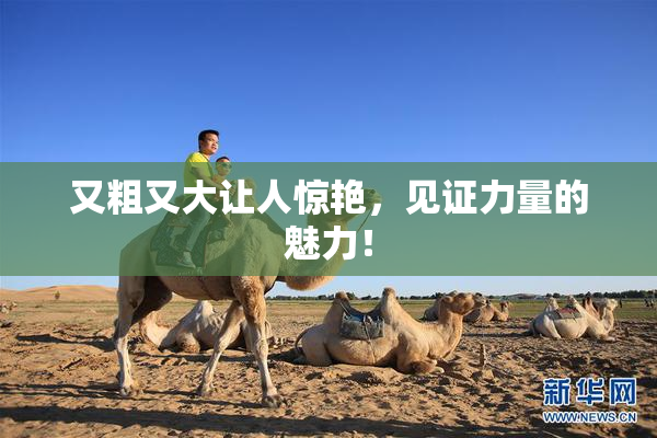 又粗又大让人惊艳，见证力量的魅力！