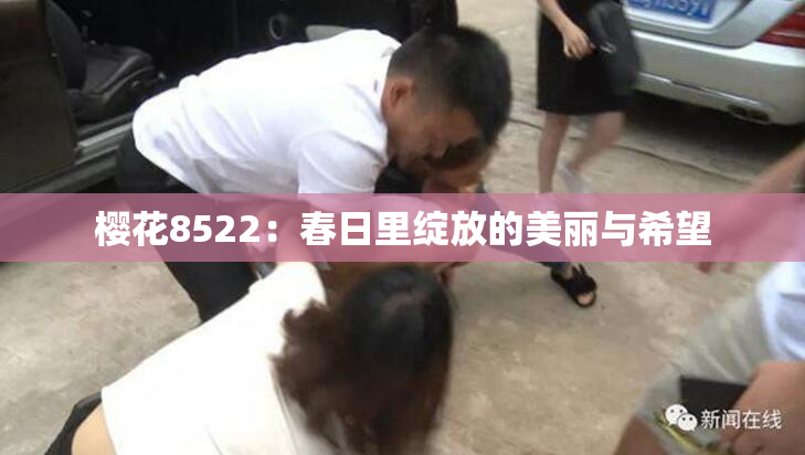 樱花8522：春日里绽放的美丽与希望