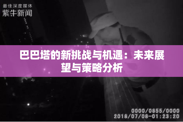 巴巴塔的新挑战与机遇：未来展望与策略分析