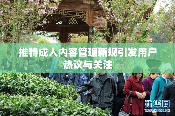 推特成人内容管理新规引发用户热议与关注