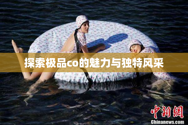 探索极品co的魅力与独特风采