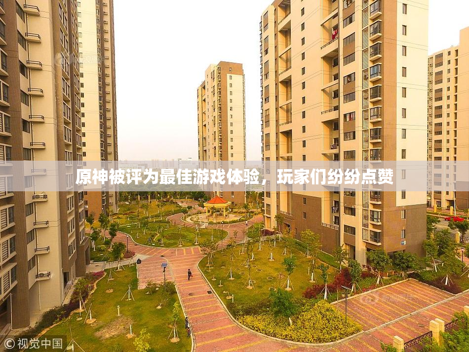 原神被评为最佳游戏体验，玩家们纷纷点赞