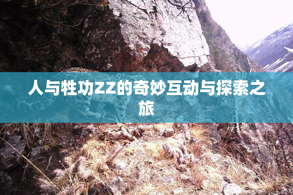 人与牲功ZZ的奇妙互动与探索之旅