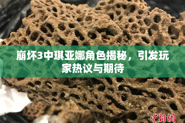 崩坏3中琪亚娜角色揭秘，引发玩家热议与期待