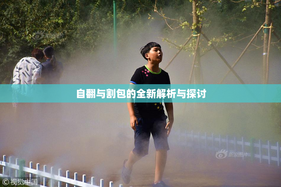 自翻与割包的全新解析与探讨