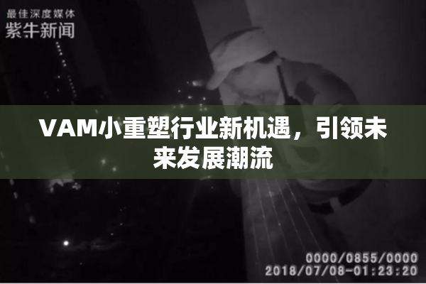 VAM小重塑行业新机遇，引领未来发展潮流