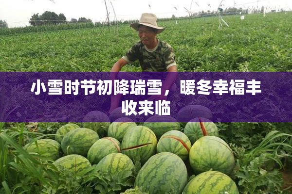 小雪时节初降瑞雪，暖冬幸福丰收来临