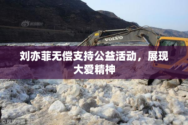 刘亦菲无偿支持公益活动，展现大爱精神