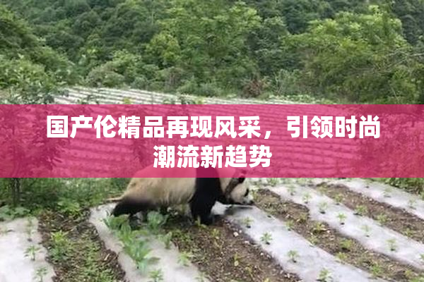 国产伦精品再现风采，引领时尚潮流新趋势