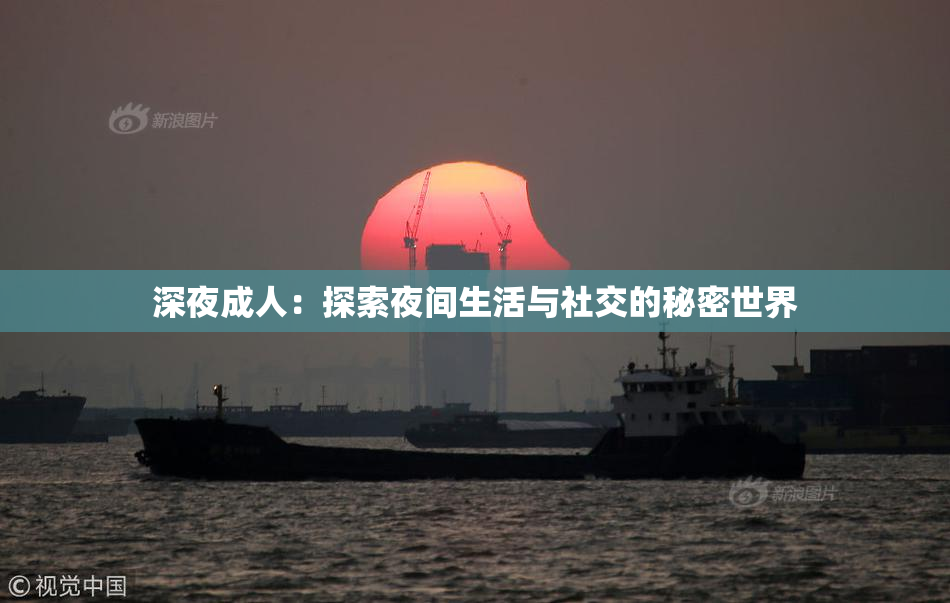 深夜成人：探索夜间生活与社交的秘密世界