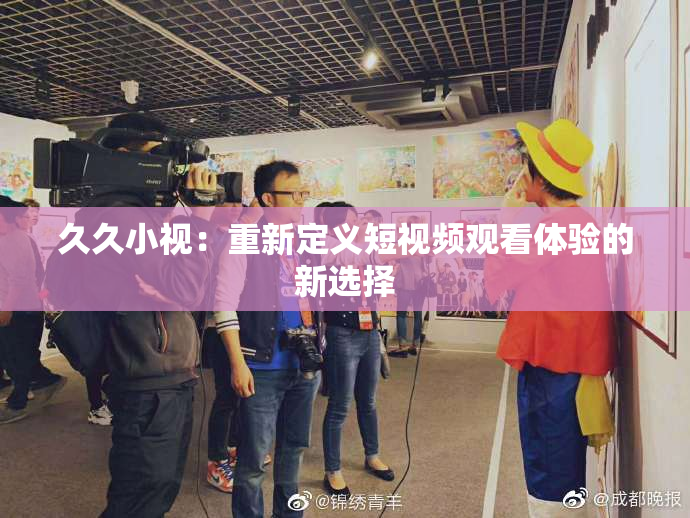 久久小视：重新定义短视频观看体验的新选择