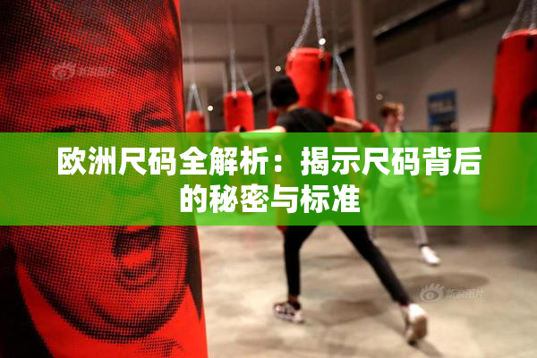 欧洲尺码全解析：揭示尺码背后的秘密与标准