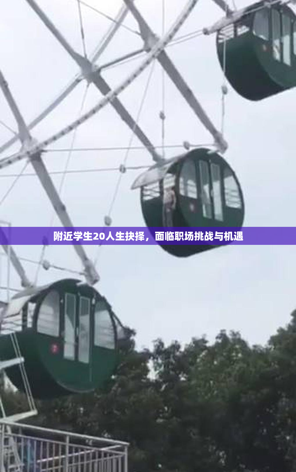 附近学生20人生抉择，面临职场挑战与机遇