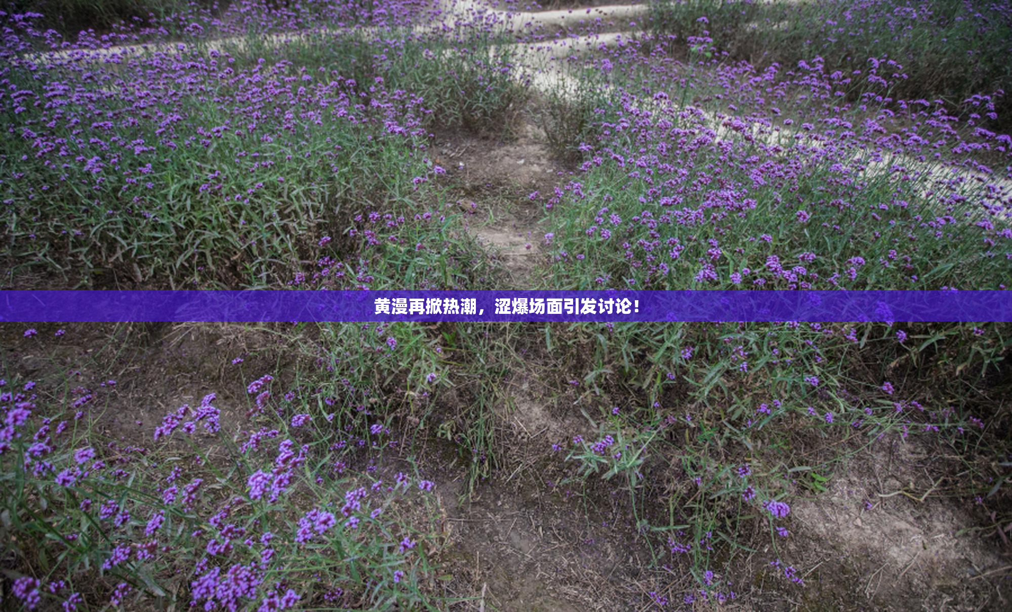 黄漫再掀热潮，涩爆场面引发讨论！