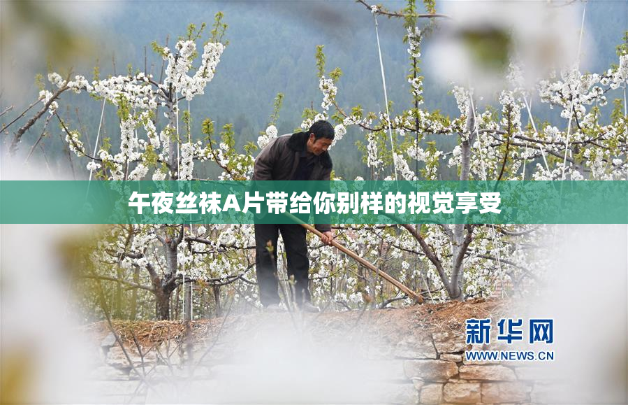 午夜丝袜A片带给你别样的视觉享受