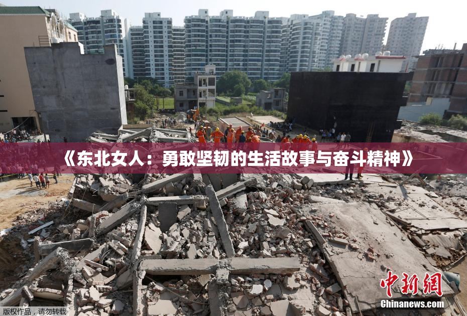 《东北女人：勇敢坚韧的生活故事与奋斗精神》