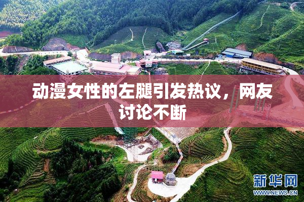动漫女性的左腿引发热议，网友讨论不断