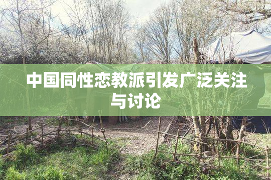 中国同性恋教派引发广泛关注与讨论