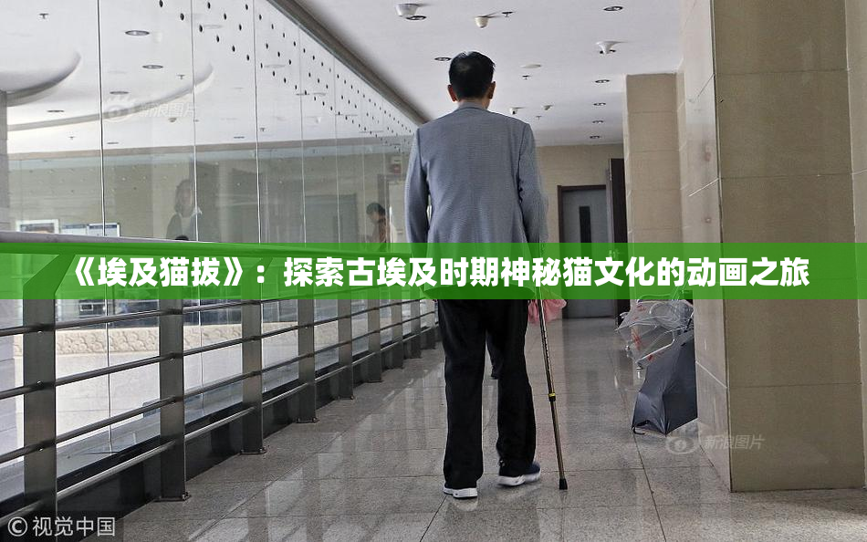 《埃及猫拔》：探索古埃及时期神秘猫文化的动画之旅