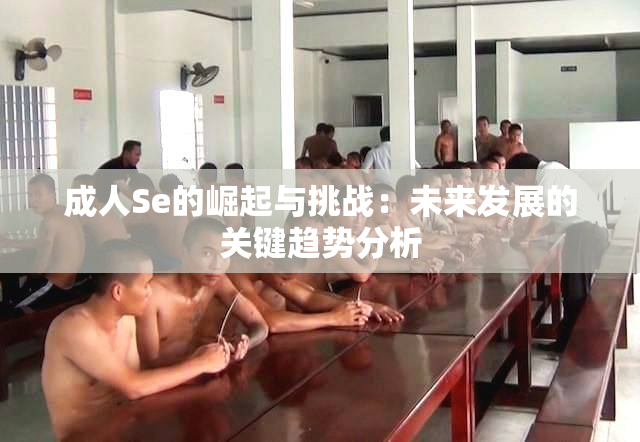 成人Se的崛起与挑战：未来发展的关键趋势分析