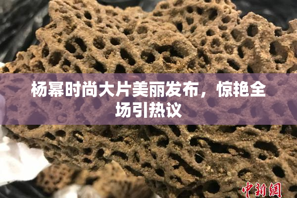 杨幂时尚大片美丽发布，惊艳全场引热议