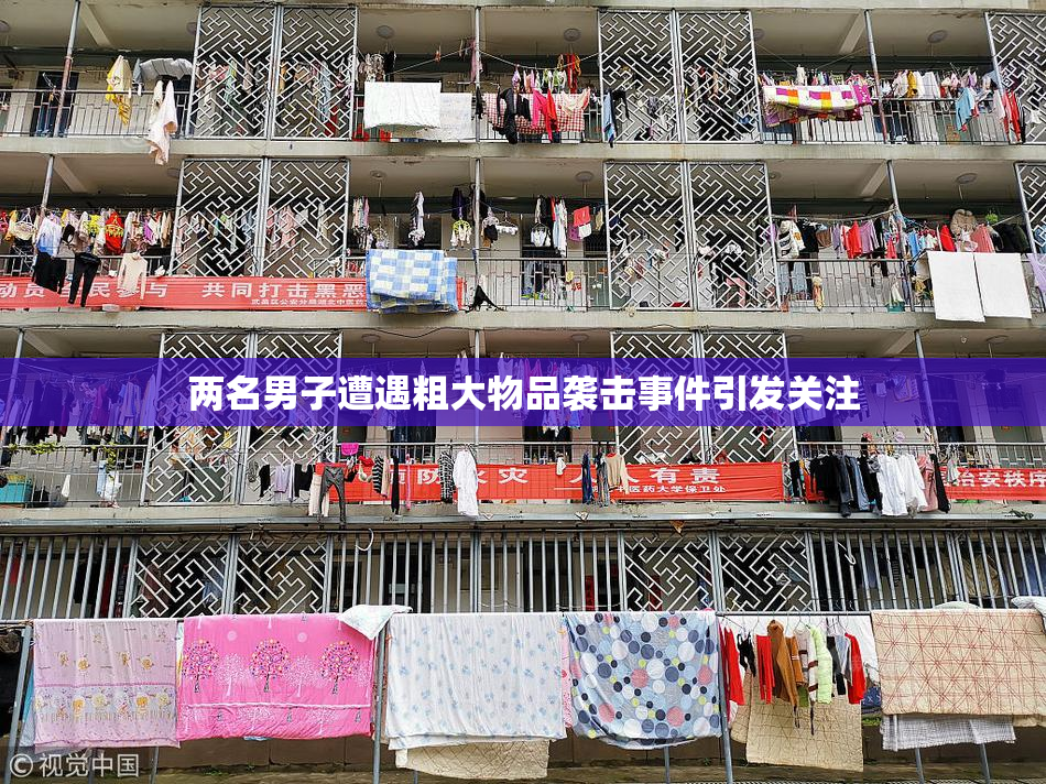 两名男子遭遇粗大物品袭击事件引发关注