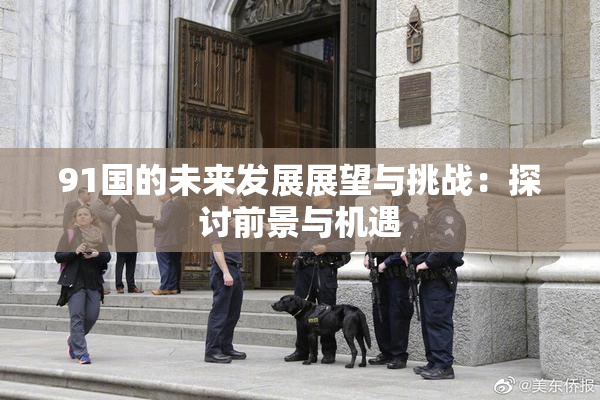 91国的未来发展展望与挑战：探讨前景与机遇
