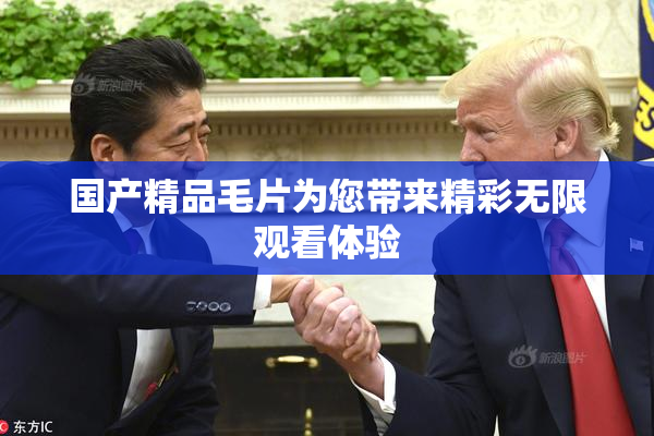 国产精品毛片为您带来精彩无限观看体验