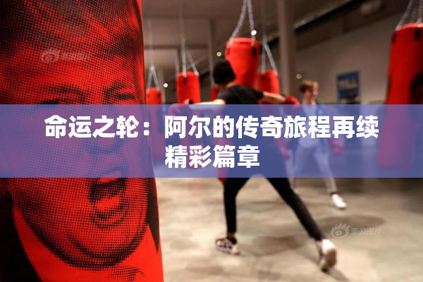 命运之轮：阿尔的传奇旅程再续精彩篇章