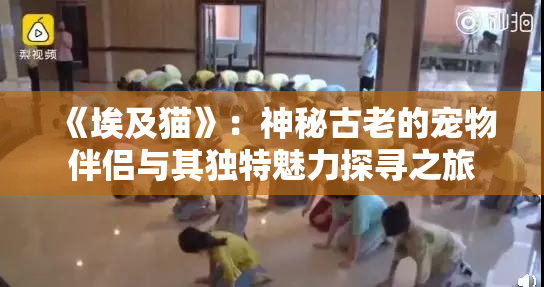《埃及猫》：神秘古老的宠物伴侣与其独特魅力探寻之旅