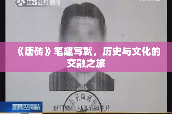 《唐砖》笔趣写就，历史与文化的交融之旅