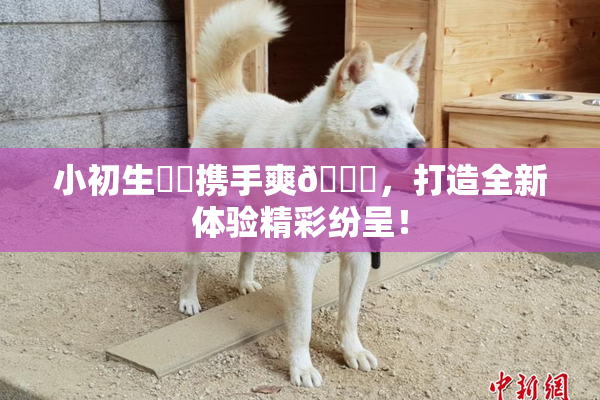 小初生❌‌携手爽🔞，打造全新体验精彩纷呈！
