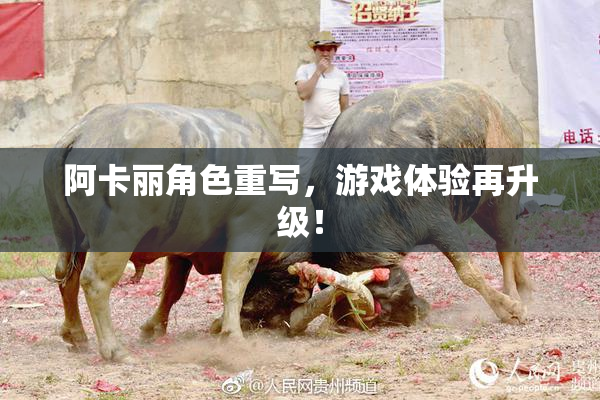 阿卡丽角色重写，游戏体验再升级！