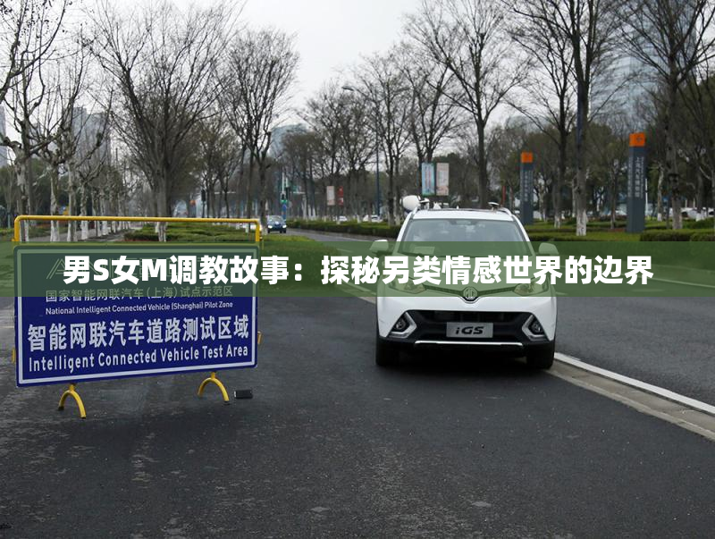 男S女M调教故事：探秘另类情感世界的边界