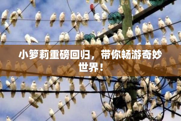 小箩莉重磅回归，带你畅游奇妙世界！