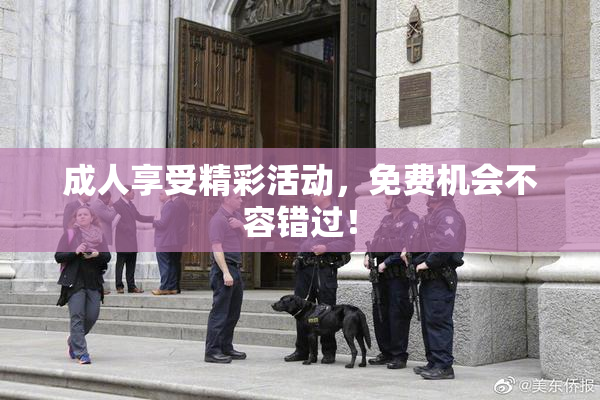 成人享受精彩活动，免费机会不容错过！