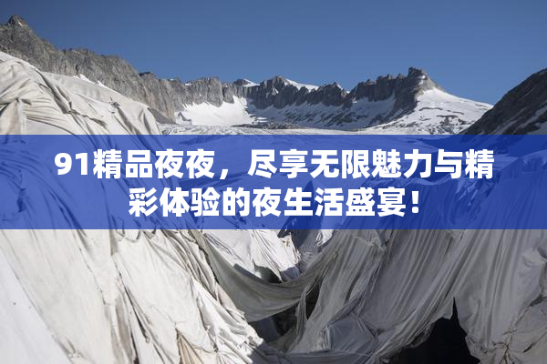 91精品夜夜，尽享无限魅力与精彩体验的夜生活盛宴！