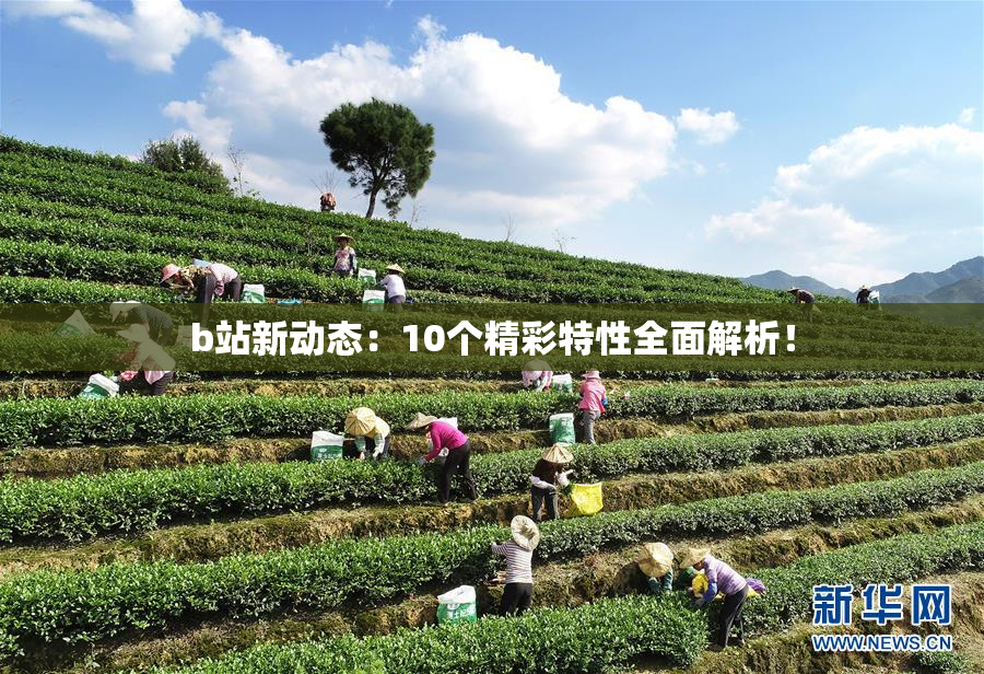 b站新动态：10个精彩特性全面解析！