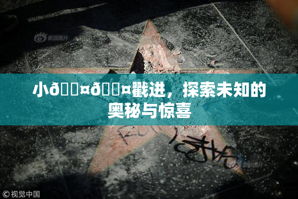 小🐤🐤戳进，探索未知的奥秘与惊喜
