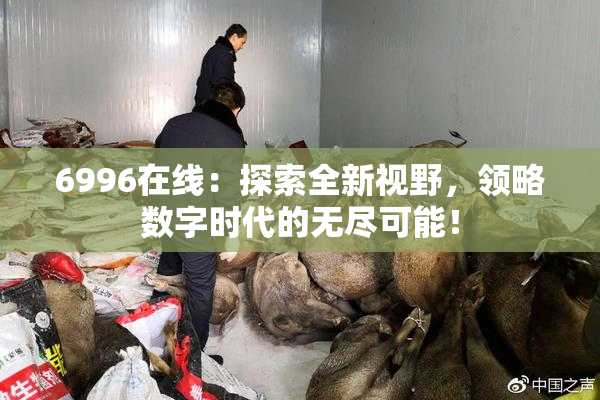 6996在线：探索全新视野，领略数字时代的无尽可能！