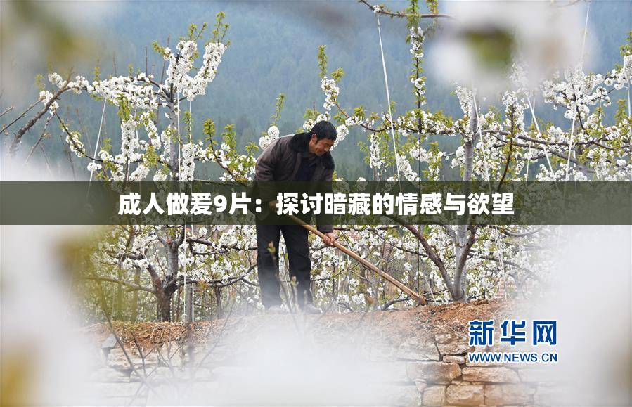 成人做爰9片：探讨暗藏的情感与欲望