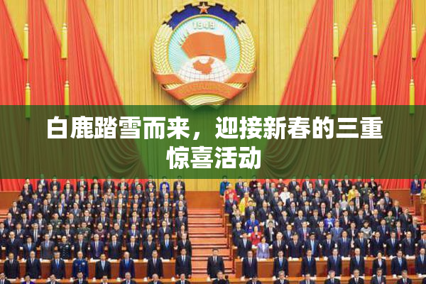白鹿踏雪而来，迎接新春的三重惊喜活动