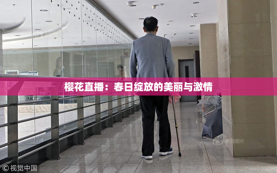 樱花直播：春日绽放的美丽与激情