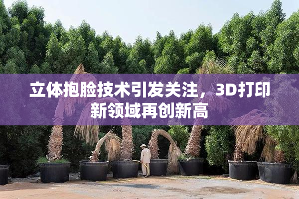 立体抱脸技术引发关注，3D打印新领域再创新高