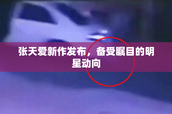 张天爱新作发布，备受瞩目的明星动向