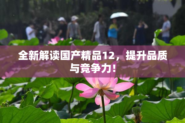 全新解读国产精品12，提升品质与竞争力！