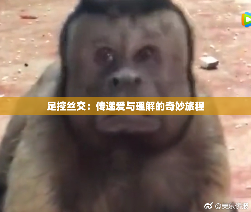 足控丝交：传递爱与理解的奇妙旅程